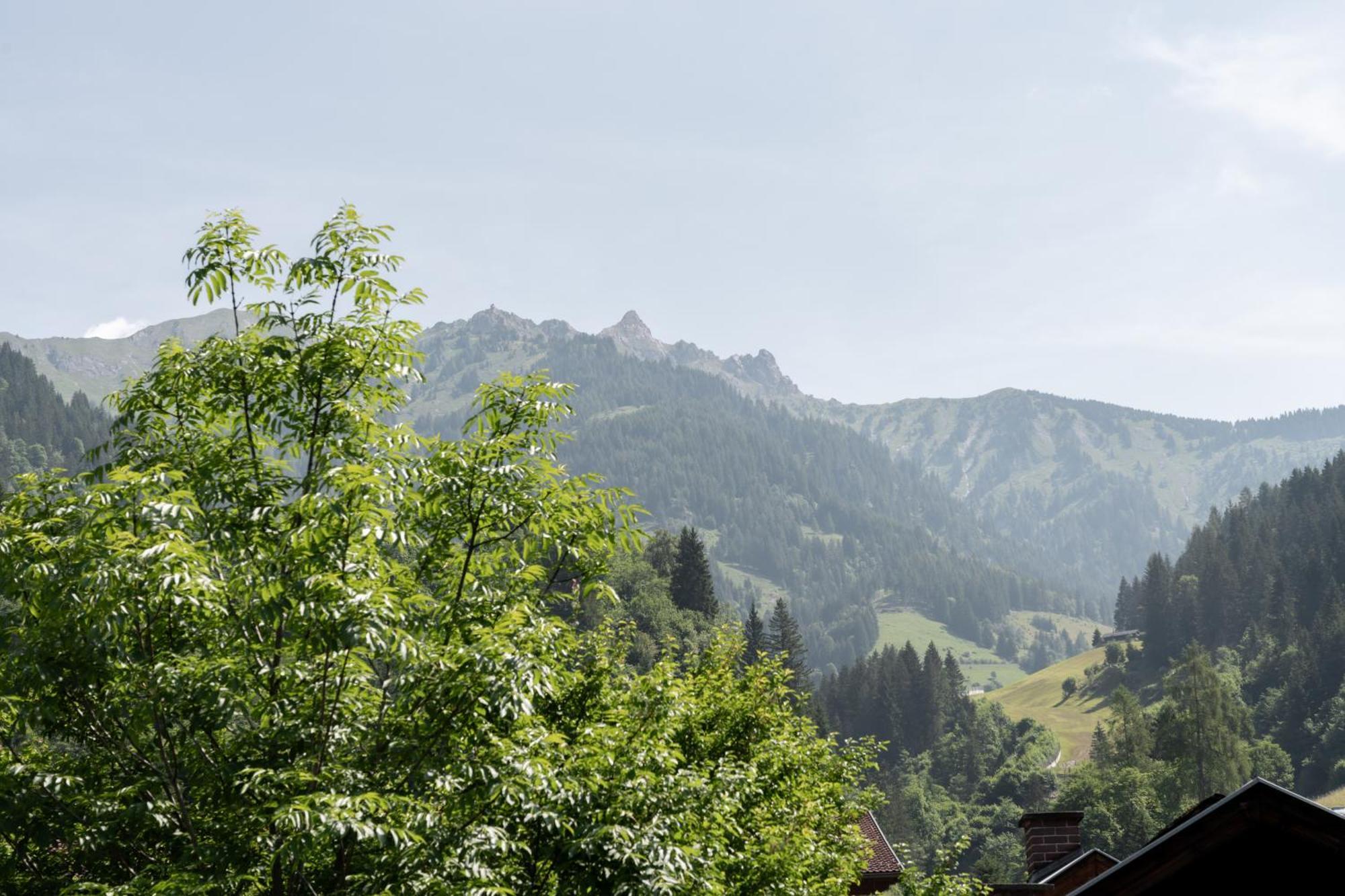 Am Muehlbach - Einfach Sein, Mit Gemeinschaftskueche Hotel ดอร์ฟกาชไตน์ ภายนอก รูปภาพ